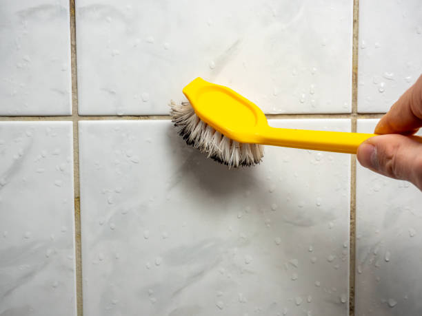 Best Mold Testing  in Dunkirk, NY