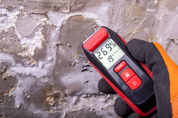 Best Mold Cleaning Services  in Dunkirk, NY