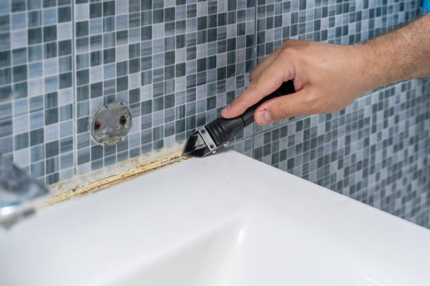 Best Home Mold Removal  in Dunkirk, NY