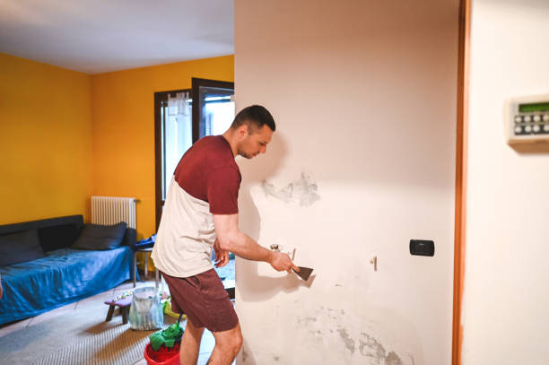 Best Commercial Mold Removal  in Dunkirk, NY